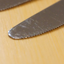 画像をギャラリービューアに読み込む, スノーピーク【snow peak】 グリーンパーティーナイフ2本セット NT-031 テーブルウェア
 グリーン