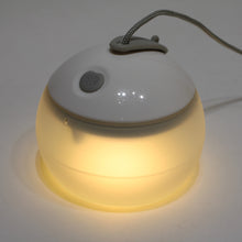 画像をギャラリービューアに読み込む, 【点灯確認済】 スノーピーク（snow peak） ほおずき ゆき ES-070WH