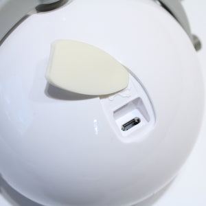 【点灯確認済】 美品 
スノーピーク（snow peak） スポットほおずき ES-090