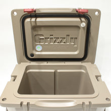 画像をギャラリービューアに読み込む, スノーピーク（snow peak） ハードロッククーラー 20QT [容量19L] UG-301GY 中古
 送料無料