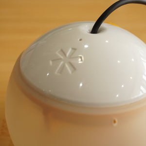 【点灯確認済】美品  スノーピーク（snowpeak） ソリッドステートランタン ほおずき ES-010 ライト・ランタン LEDランタン　初期型
