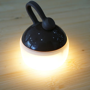 【点灯確認済】美品  スノーピーク（snowpeak） たねほおずき　ブラウン ES-041BR ライト・ランタン　LEDミニランタン