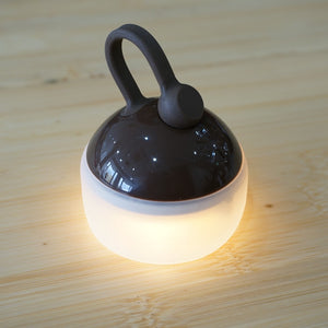 【点灯確認済】美品  スノーピーク（snowpeak） たねほおずき　ブラウン ES-041BR ライト・ランタン　LEDミニランタン