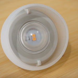 【点灯確認済】美品  スノーピーク（snowpeak） たねほおずき　ブラウン ES-041BR ライト・ランタン　LEDミニランタン