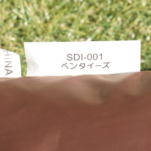 【組立確認済】 美品  スノーピーク（snowpeak） ペンタイーズ＆グランドシート SDI-001/SDI-001-1 テント　ソロキャン　タープ・ポール別売