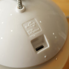 画像をギャラリービューアに読み込む, 【点灯確認済】スノーピーク（snowpeak） ES-070WH ほおずき　ゆき ランタン・ライト　明るさ100lm　定番LEDランタン　お部屋でもアウトドアでも [10/2値下げ]