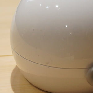 【点灯確認済】美品 スノーピーク（snowpeak） スポットほおずき ES-090 ランタン・ライト　LEDランタン　単３乾電池　スポットライト  [11/17値下げ]