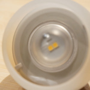 【点灯確認済】美品 スノーピーク（snowpeak） たねほおずき もり ES-041GR ランタン・ライト　LED　ランプ　グリーン [送料無料]