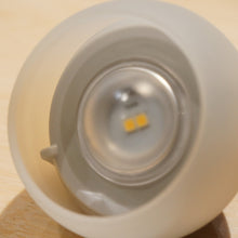 画像をギャラリービューアに読み込む, 【点灯確認済】美品 スノーピーク（snowpeak） たねほおずき もり ES-041GR ランタン・ライト　LED　ランプ　グリーン [送料無料]