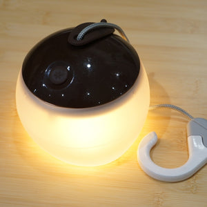 【点灯確認済】美品 スノーピーク（snow peak） ほおずき　つち ES-070BR ランタン・ライト　定番LEDランタン　お部屋でも人気 [送料無料] [1/5値下げ]