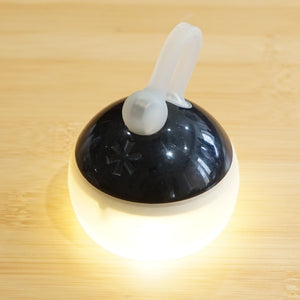 【点灯確認済】美品 スノーピーク（snow peak） ソリッドステートランタンたねほおずき黒 ES-040BK ランタン・ライト ブラック 雪峰祭2013年春 限定アイテム [送料無料]