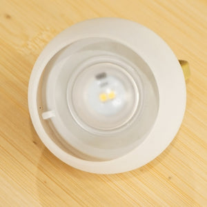 【点灯確認済】美品 スノーピーク（snow peak） たねほおずき　もり ES-041GR ランタン・ライト  LED　ランプ　グリーン　LEDミニランタン [送料無料]
