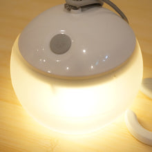 画像をギャラリービューアに読み込む, 美品 
 スノーピーク【snow peak】 ほおずき　ゆき ES-070WH ランタン・ライト