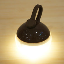 画像をギャラリービューアに読み込む, 美品 
 スノーピーク【snow peak】 たねほおずき ブラウン ES-041BR ランタン・ライト