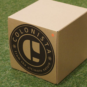 新品同様 
 COLONISTA CONPE10 ランタンシェード ランタン・ライト
 Coral