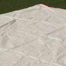 画像をギャラリービューアに読み込む, 新品同様 
 テンマクデザイン【tent-mark DESIGNS】 ムササビウイング13ft タープ
 オフホワイト×レッド
